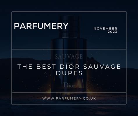 best dior sauvage dupe reviews.